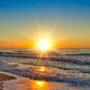 Meet your Posher, Riley